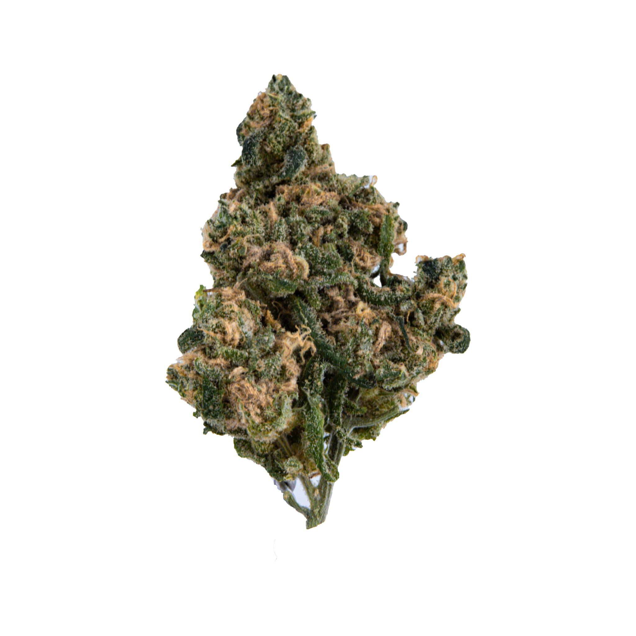 Blue Dream - Exotic Top Shelf THCa Flower