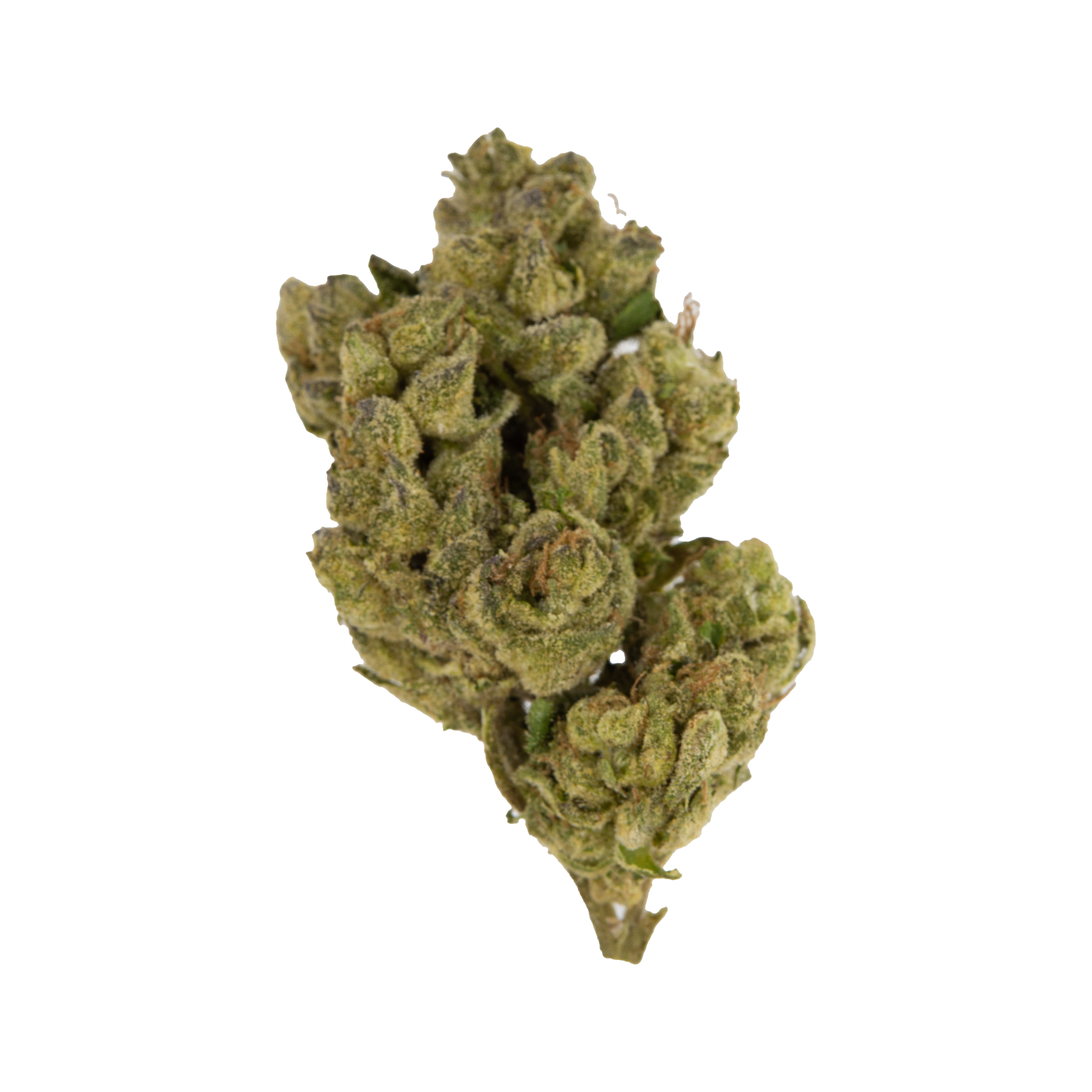 Super Boof - Top Shelf THCa Flower