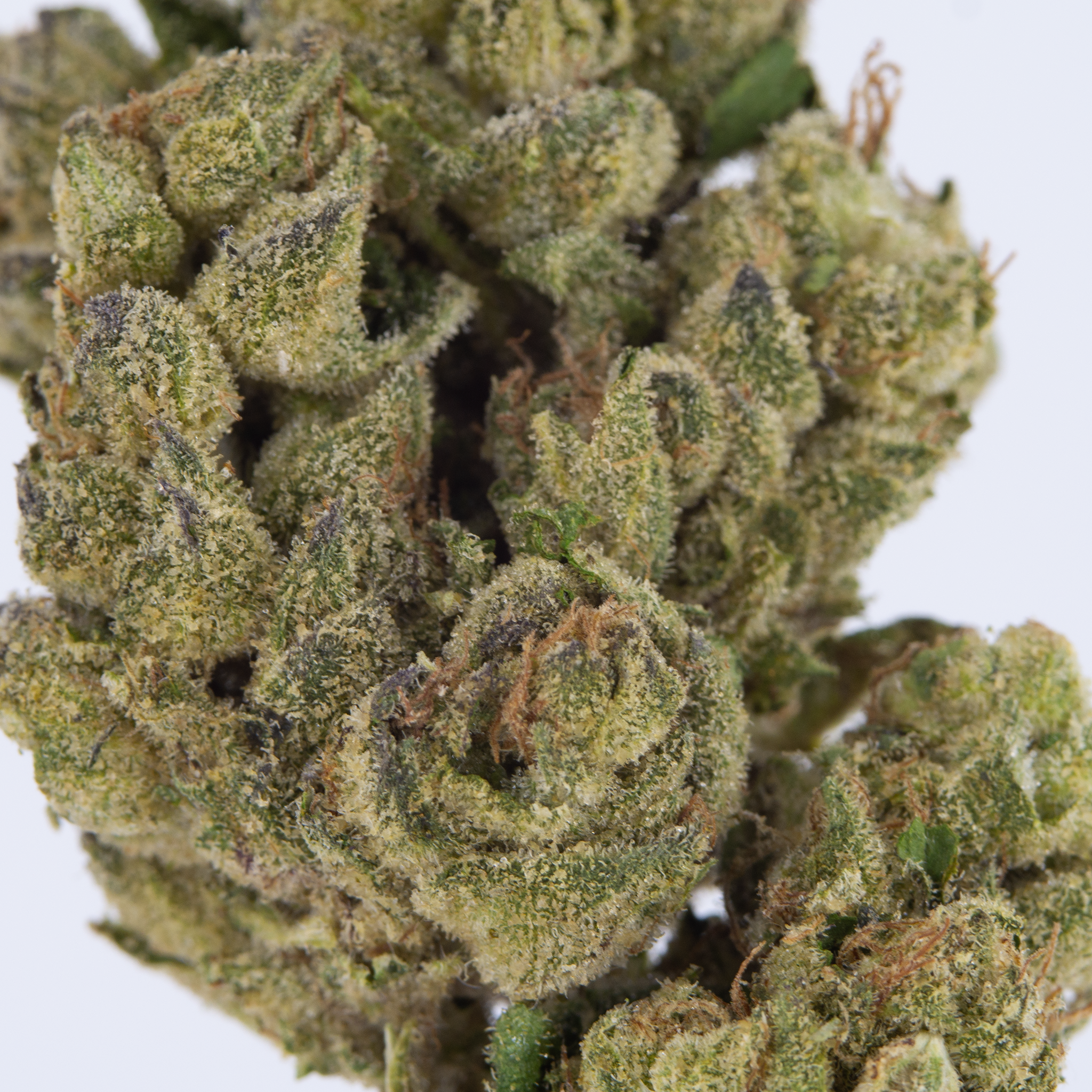 Super Boof - Top Shelf THCa Flower