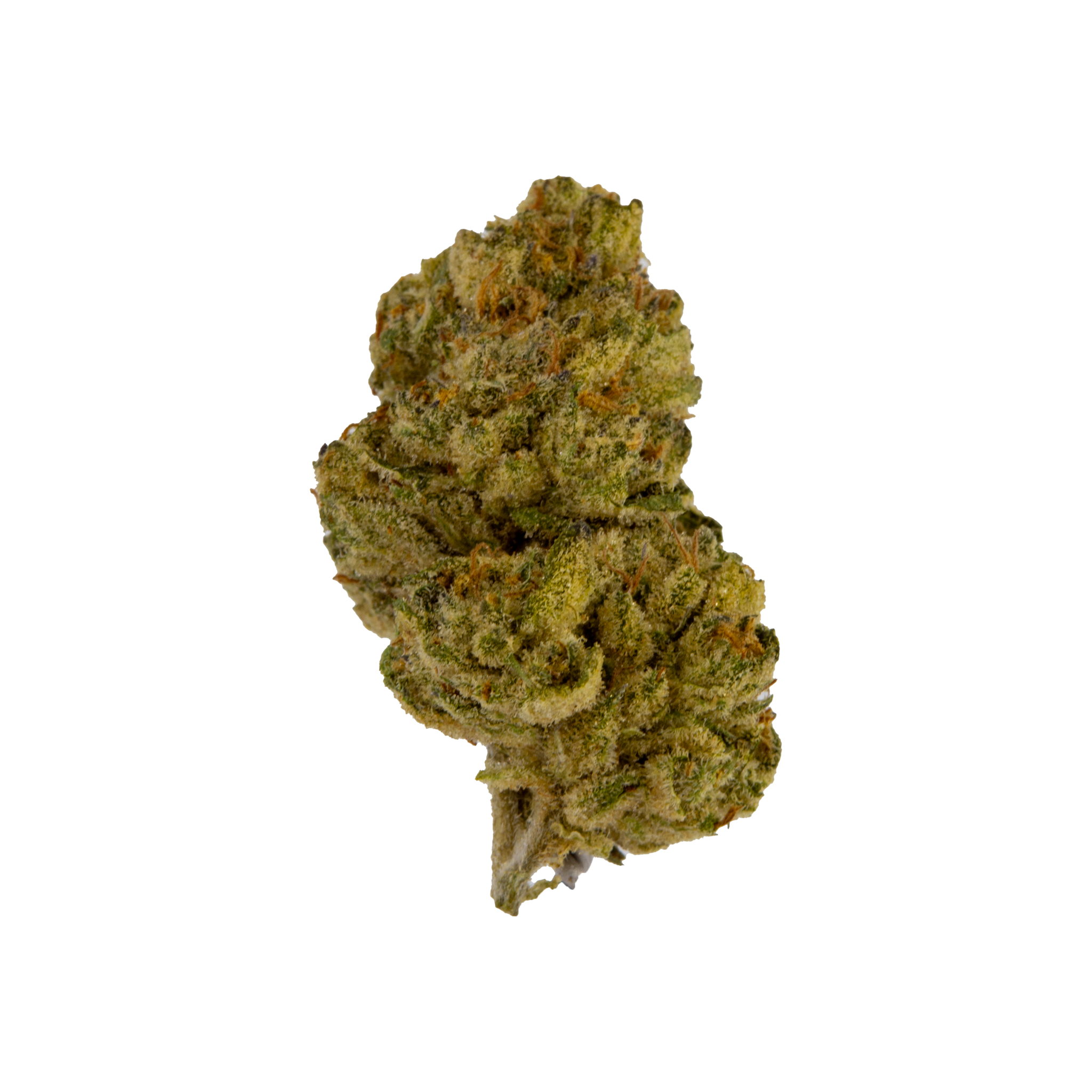 Gelato Punch - Top Shelf THCa Flower